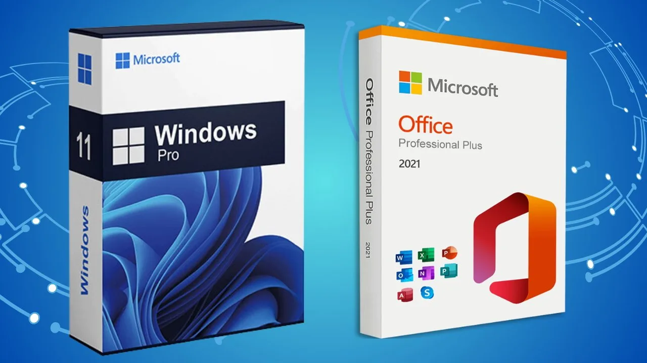 Windows 11 Pro vs Microsoft 365: qué licencias necesitas